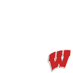 Wisconsin Badgers