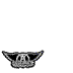 Aerosmith