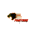 Panther Racing