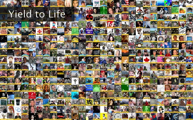 Yield to Life Twibute 500