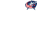 columbus blue jackets