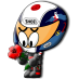 In memory of Shoya Tomizawa