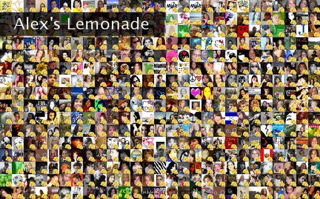 Alex's Lemonade Twibute 500