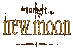 new moon :)