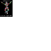 Harlequins Rugby Club