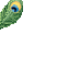 The Peacock King