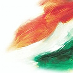 Indian Republic Day