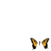 "Brand New Eyes" by Paramore