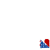 The American Widow Project