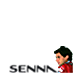 Senna tribute