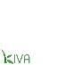 Kiva