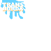 Festival Transborda