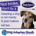 National Dog Adoption Month