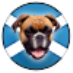 Boxer Welfare Scotland