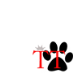Team Taylor L