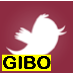 gibo4president