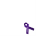fibro