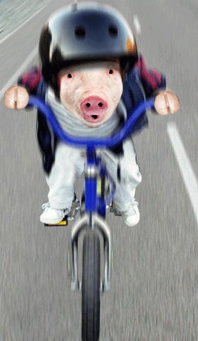 corpsbum