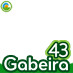 GABEIRA 43