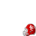 El Campo Ricebirds Helmet