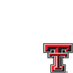 Texas Tech University
