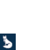WhiteFox