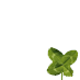 Lucky Clover