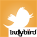 Team_ladybird
