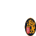 Leones del Caracas