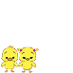 Pollitos y Pollitas