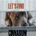 Help Find Cinnabun!