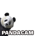 San Diego Panda Cam