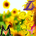 SweetVeeVee24