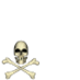 ☠ Pirate ☠