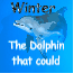 Clearwater Marine Aquarium