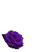 PurpleLover
