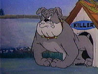Earthdog56