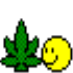 weed