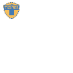 Tigres UANL