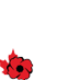 The Royal Canadian Legion