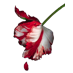 New Moon