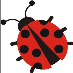 Ladybug