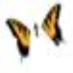 brand new eyes