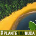 SOSMata