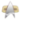 Starfleet