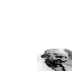 Gandhi Peace