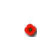Remembrance Day Poppy