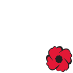 The Royal Canadian Legion