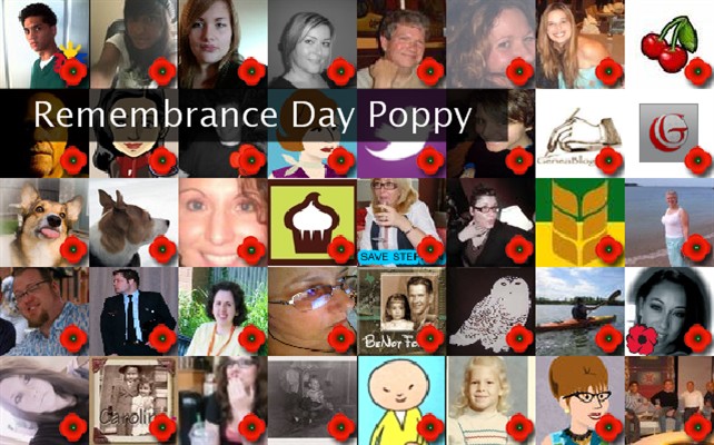 Remembrance Day Poppy Twibute 50
