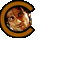 Charlie_Sharma